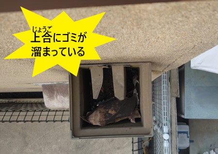 上合　雨樋　ゴミが溜まっている